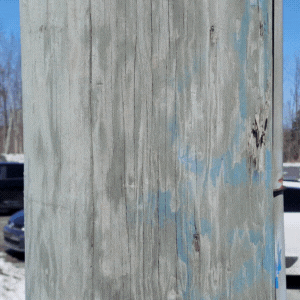 Cible réfléchissante d'arpentage autocollante sur un support en bois, conçue pour une haute précision sur le terrain.